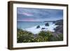 Wildflowers Growing on the Clifftops Above Bedruthan Steps on a Stormy Evening, Cornwall, England-Adam Burton-Framed Photographic Print