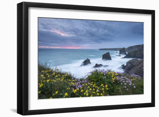 Wildflowers Growing on the Clifftops Above Bedruthan Steps on a Stormy Evening, Cornwall, England-Adam Burton-Framed Photographic Print