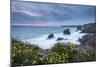 Wildflowers Growing on the Clifftops Above Bedruthan Steps on a Stormy Evening, Cornwall, England-Adam Burton-Mounted Photographic Print