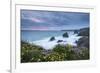 Wildflowers Growing on the Clifftops Above Bedruthan Steps on a Stormy Evening, Cornwall, England-Adam Burton-Framed Photographic Print