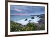 Wildflowers Growing on the Clifftops Above Bedruthan Steps on a Stormy Evening, Cornwall, England-Adam Burton-Framed Photographic Print