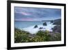 Wildflowers Growing on the Clifftops Above Bedruthan Steps on a Stormy Evening, Cornwall, England-Adam Burton-Framed Photographic Print