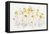 Wildflowers I Bright Yellow-Lisa Audit-Framed Stretched Canvas