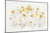 Wildflowers I Bright Yellow-Lisa Audit-Mounted Premium Giclee Print