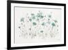 Wildflowers I Turquoise-Lisa Audit-Framed Art Print