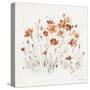 Wildflowers II Orange-Lisa Audit-Stretched Canvas