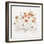 Wildflowers II Orange-Lisa Audit-Framed Art Print