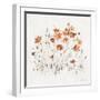 Wildflowers II Orange-Lisa Audit-Framed Art Print