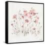 Wildflowers II Pink-Lisa Audit-Framed Stretched Canvas