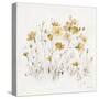 Wildflowers II Yellow-Lisa Audit-Stretched Canvas
