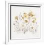 Wildflowers II Yellow-Lisa Audit-Framed Art Print