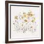 Wildflowers II Yellow-Lisa Audit-Framed Art Print