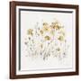 Wildflowers II Yellow-Lisa Audit-Framed Art Print