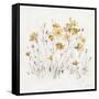 Wildflowers II Yellow-Lisa Audit-Framed Stretched Canvas