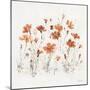 Wildflowers III Orange-Lisa Audit-Mounted Art Print