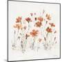 Wildflowers III Orange-Lisa Audit-Mounted Art Print