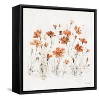 Wildflowers III Orange-Lisa Audit-Framed Stretched Canvas