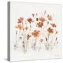 Wildflowers III Orange-Lisa Audit-Stretched Canvas