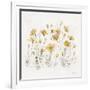 Wildflowers III Yellow-Lisa Audit-Framed Art Print