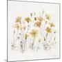 Wildflowers III Yellow-Lisa Audit-Mounted Art Print