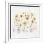 Wildflowers III Yellow-Lisa Audit-Framed Art Print