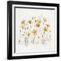 Wildflowers III Yellow-Lisa Audit-Framed Art Print