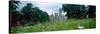 Wildflowers in a field with a castle in the background, Hluboka Castle, Bohemia, Czech Republic-null-Stretched Canvas