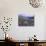 Wildflowers in Alpine Meadow, Ouray, San Juan Mountains, Rocky Mountains, Colorado, USA-Rolf Nussbaumer-Photographic Print displayed on a wall