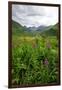 Wildflowers in Bloom in Valley Between Mountains in Alaskan Summer-Sheila Haddad-Framed Photographic Print