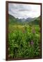 Wildflowers in Bloom in Valley Between Mountains in Alaskan Summer-Sheila Haddad-Framed Photographic Print