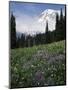 Wildflowers in Meadow Below Mt. Rainier-James Randklev-Mounted Premium Photographic Print