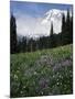 Wildflowers in Meadow Below Mt. Rainier-James Randklev-Mounted Photographic Print