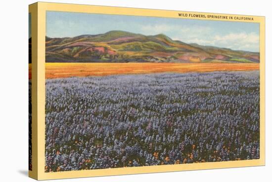 Wildflowers in Spring, California-null-Stretched Canvas