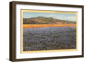 Wildflowers in Spring, California-null-Framed Art Print