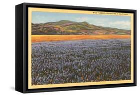 Wildflowers in Spring, California-null-Framed Stretched Canvas