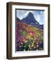 Wildflowers in Summer, Glacier National Park, Montana, USA-Christopher Talbot Frank-Framed Photographic Print