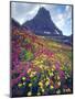 Wildflowers in Summer, Glacier National Park, Montana, USA-Christopher Talbot Frank-Mounted Photographic Print