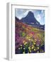 Wildflowers in Summer, Glacier National Park, Montana, USA-Christopher Talbot Frank-Framed Photographic Print