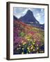 Wildflowers in Summer, Glacier National Park, Montana, USA-Christopher Talbot Frank-Framed Photographic Print