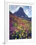 Wildflowers in Summer, Glacier National Park, Montana, USA-Christopher Talbot Frank-Framed Photographic Print