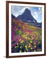 Wildflowers in Summer, Glacier National Park, Montana, USA-Christopher Talbot Frank-Framed Photographic Print