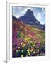 Wildflowers in Summer, Glacier National Park, Montana, USA-Christopher Talbot Frank-Framed Photographic Print