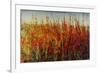 Wildflowers in Summer-Tim O'toole-Framed Giclee Print