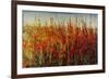 Wildflowers in Summer-Tim O'toole-Framed Giclee Print