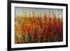 Wildflowers in Summer-Tim O'toole-Framed Giclee Print