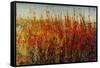 Wildflowers in Summer-Tim O'toole-Framed Stretched Canvas