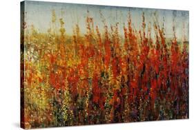 Wildflowers in Summer-Tim O'toole-Stretched Canvas