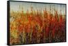 Wildflowers in Summer-Tim O'toole-Framed Stretched Canvas