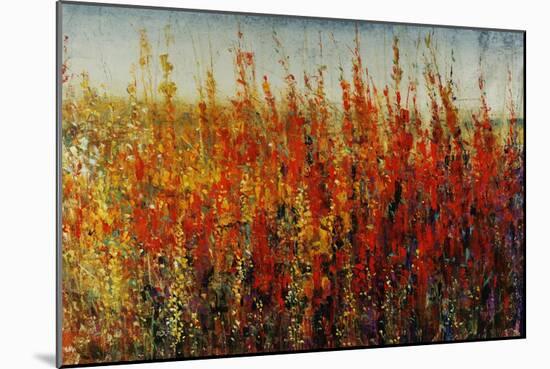 Wildflowers in Summer-Tim O'toole-Mounted Premium Giclee Print