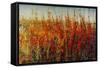Wildflowers in Summer-Tim O'toole-Framed Stretched Canvas